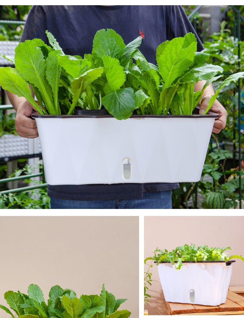懒人种菜种菜神器自吸水特大花槽阳台盆栽塑料树脂绿萝盆小号4个