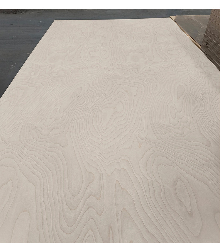 俄罗斯桦木海洋板防水胶合板音响道具e0柜橱柜家具板20mm桦木