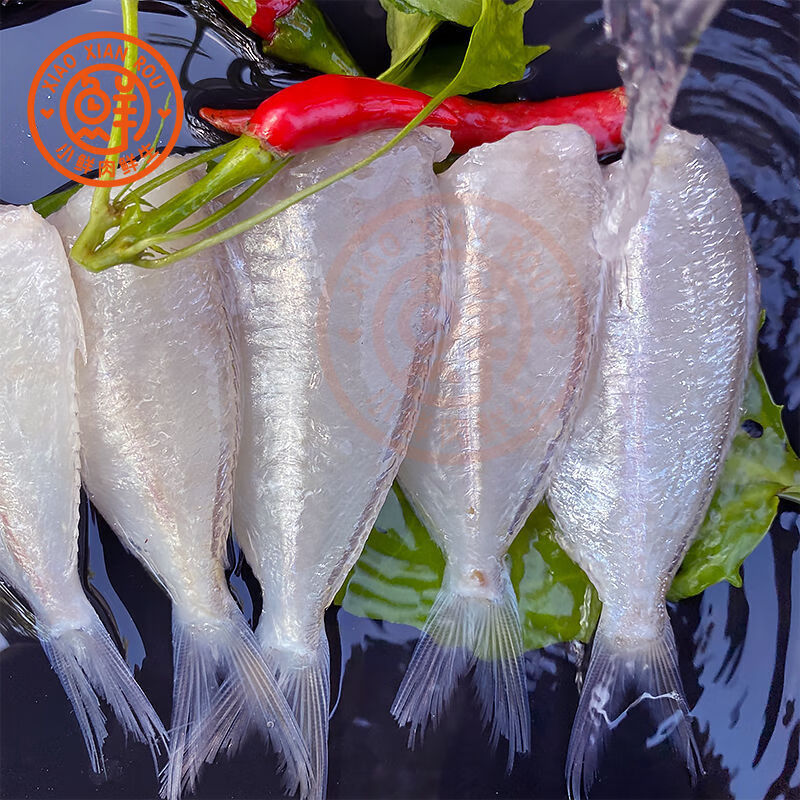 扒皮鱼新鲜小耗儿鱼冷冻马面鱼白尾剥皮鱼批发整箱火锅生鲜2斤包广纳