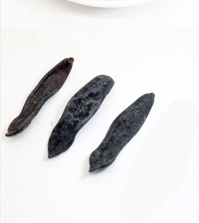 水蛭药材*蚂蟥活体*炮制清水吊杆小蚂蟥水蛭干 蚂蟥20克试用装【图片