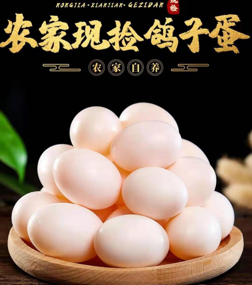 鸽子蛋白鸽蛋农家五谷原粮散养信鸽蛋30枚精美礼盒装600克以上顺丰