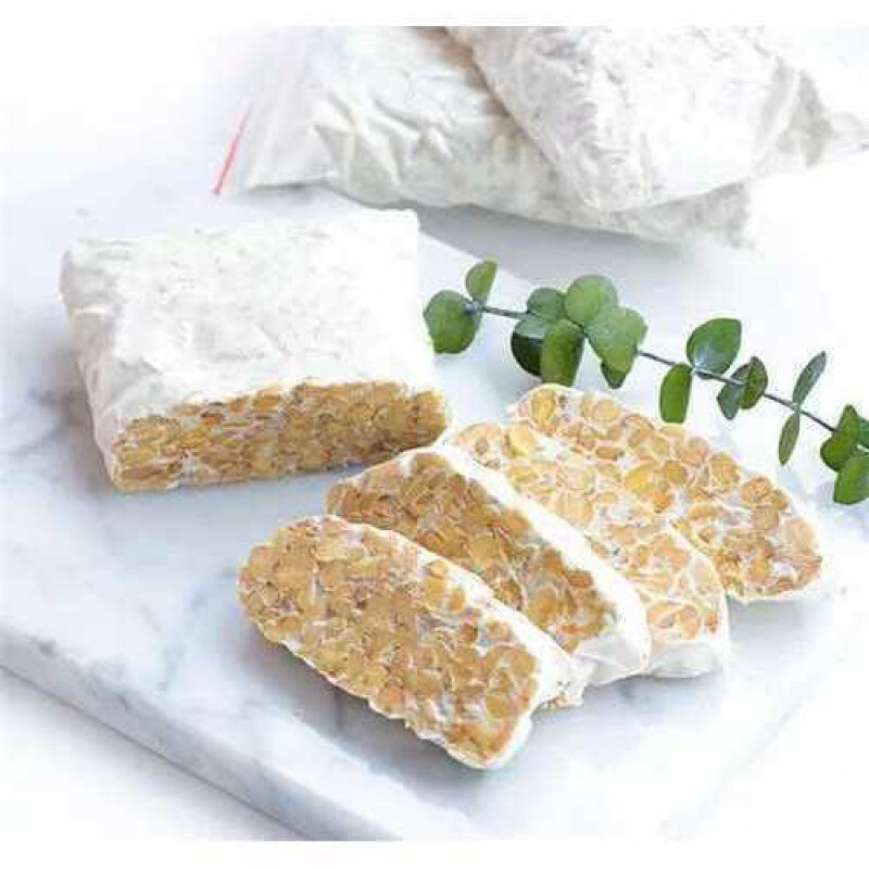 印尼天贝发酵剂发酵菌粉天贝菌种自制胶囊一颗买(2 1) 一袋【图片