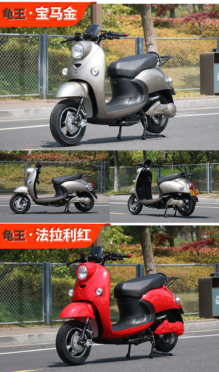 小龟王电动车48v60v72v男女双人乌龟摩托车电动踏板高速续航 必在