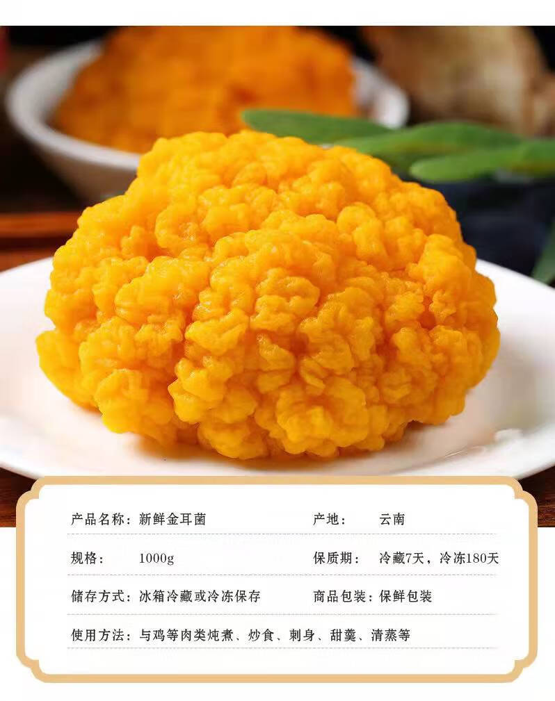 云南野生金耳新鲜非干货金耳菌鲜金耳菌菇黄耳菌黄金耳大500g煲汤金黄