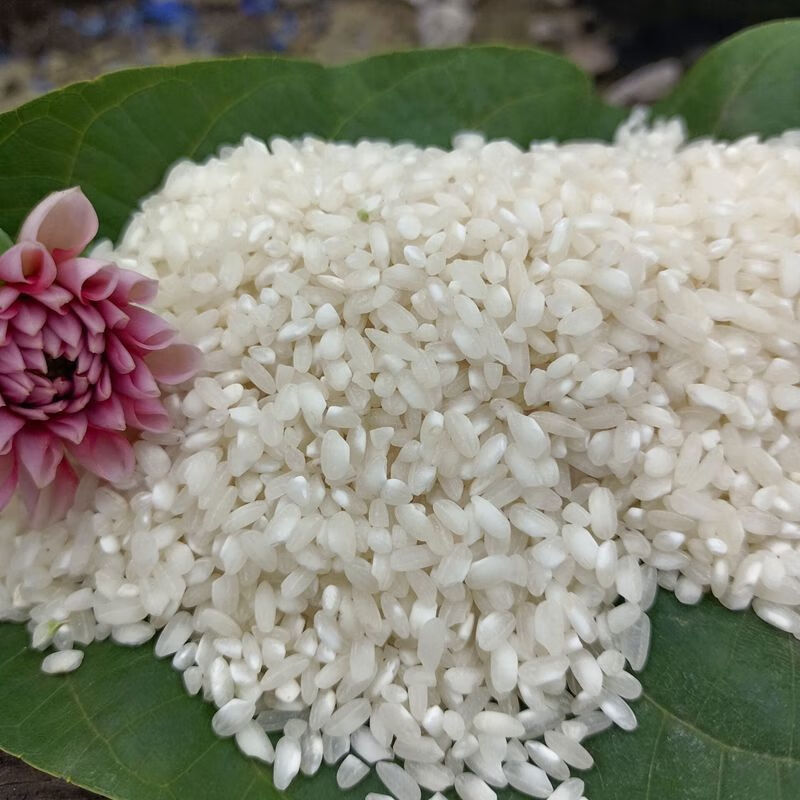 贵州农家桂朝米 多规格 贵潮米桂朝米 米皮米豆腐肠粉凉虾凉糕米粉