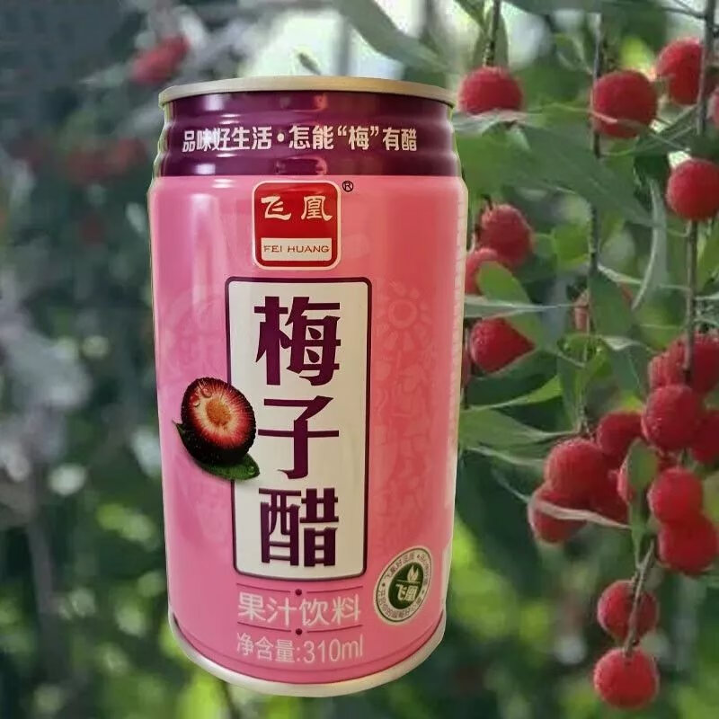 家庭夏日酸甜解腻饮料梅子醋310ml罐装12瓶装果味饮料整箱 整箱12瓶