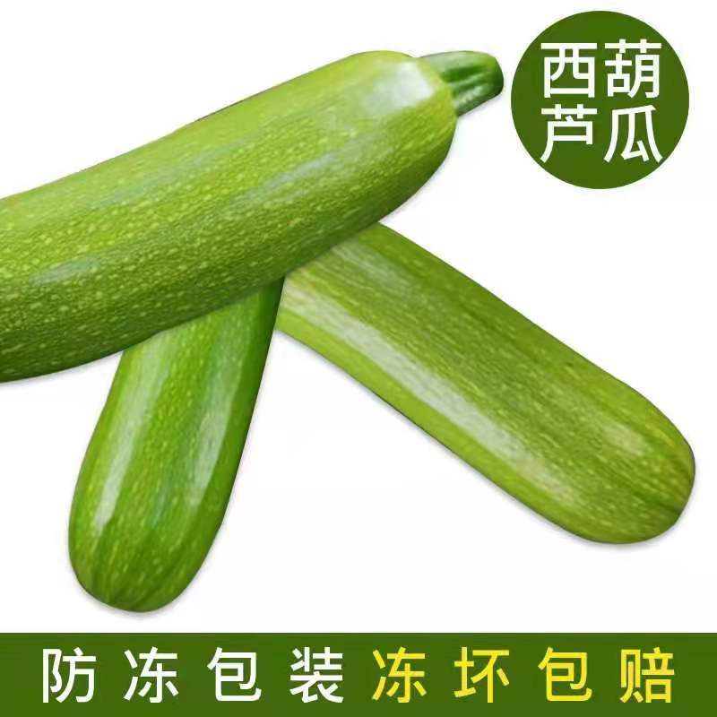 新鲜蔬菜西葫芦三月瓜笋瓜茭瓜倭瓜5斤3斤嫩角瓜青番瓜白瓜9斤3斤防冻