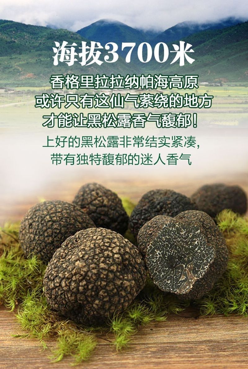 全成熟黑松露干片纹路清晰营养丰富成熟猪拱菌包装香菇超值全成熟黑