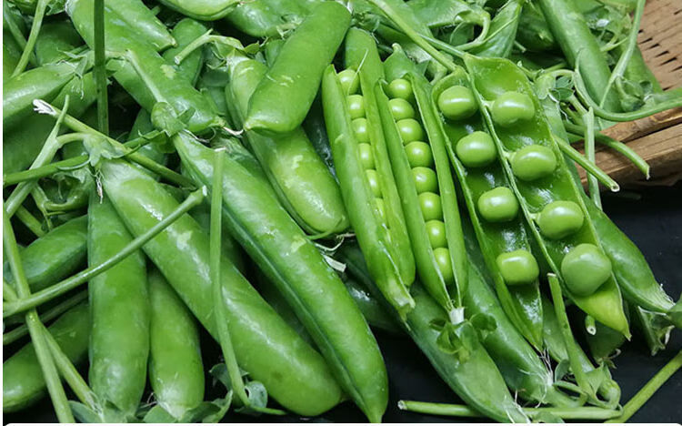 云南豌豆新鲜青豌豆带壳生甜豌豆蔬菜大全新鲜蔬菜炒肉嫩豌豆带箱1斤