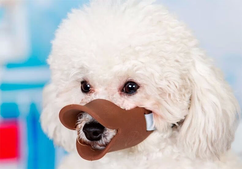 【结实耐用】宠物狗狗鸭嘴套嘴罩防叫防误食口罩泰迪狗安全嘴套小中