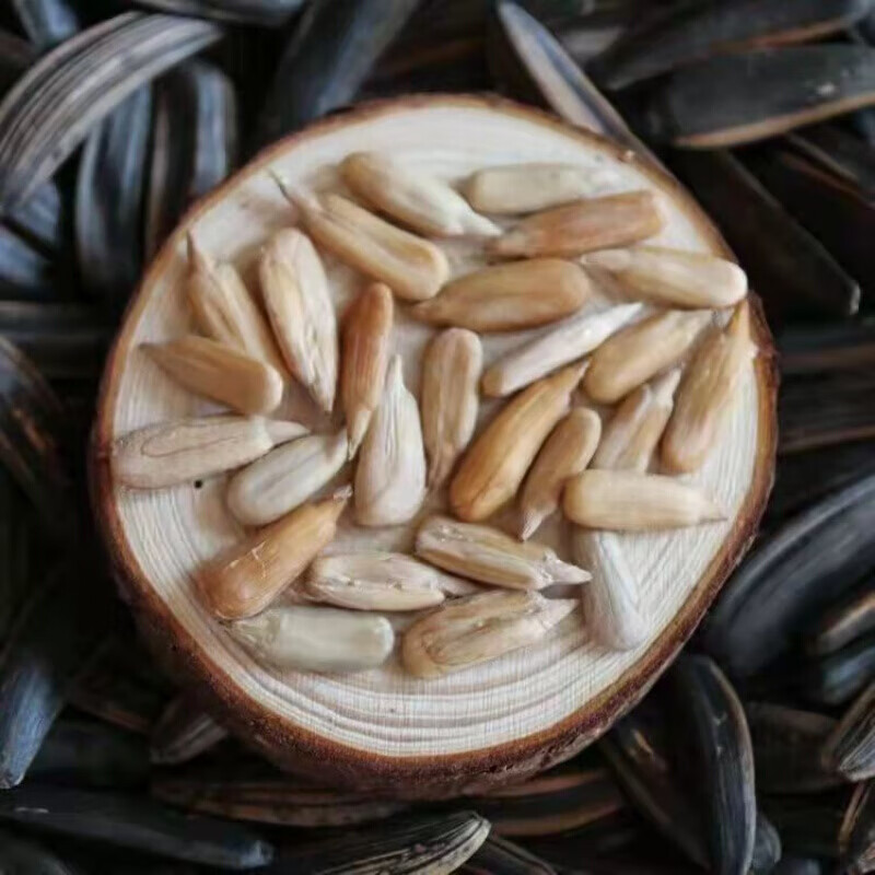 新货新疆特产狼牙瓜子现炒散装五香味大粒葵花籽孕妇零食狼牙瓜子五香