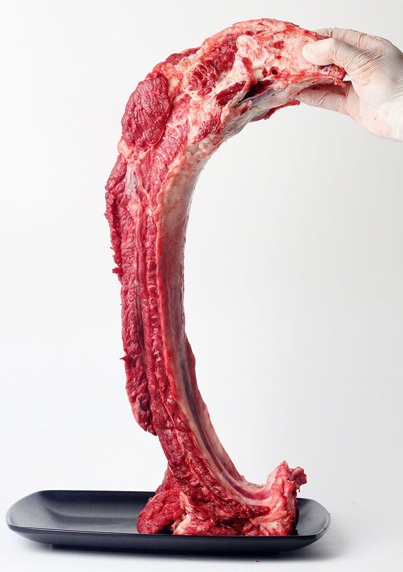 新鲜现杀黄牛牛肋排大排牛骨头牛仔骨带肉牛排骨 500g牛肋条牛脊肋