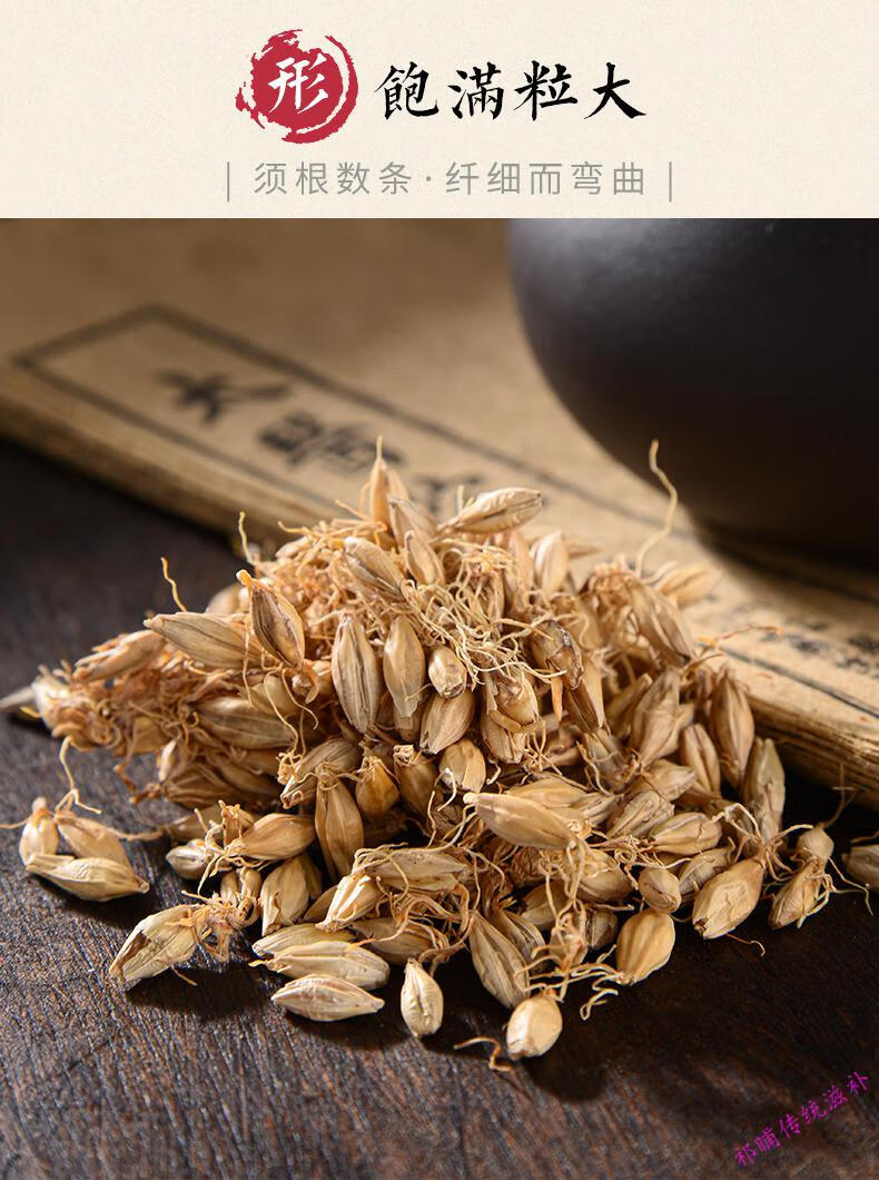诚芝源生500g生麦芽回奶不是炒麦芽茶新鲜大麦芽内金汤大麦麦芽300克