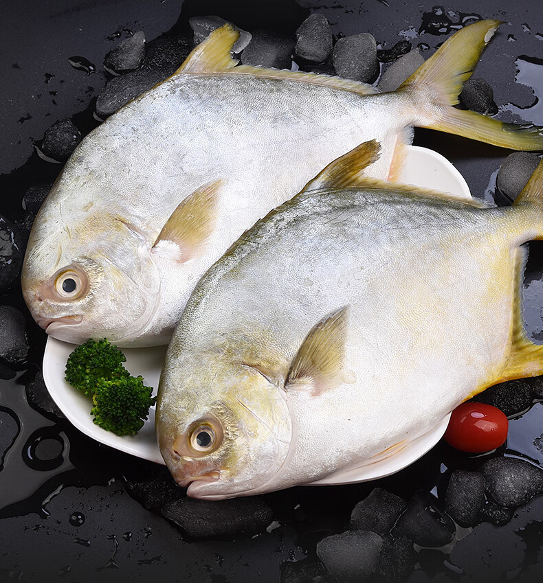 金鲳鱼新鲜冷冻鲜活速冻海鲜水产银鲳鱼平鱼鲳鱼金昌鱼深海鱼白鲳腾旺