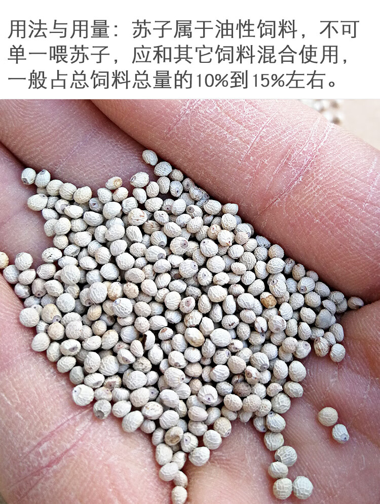 白苏子鸟食鸟粮黄雀苏子软壳饲料黄鸟鹦鹉 250g 【半斤】【图片 价格