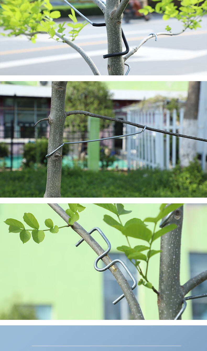 果树拉枝定型器开角通用柑橘弯枝别枝压枝器折枝神器苹果开枝整形 s型