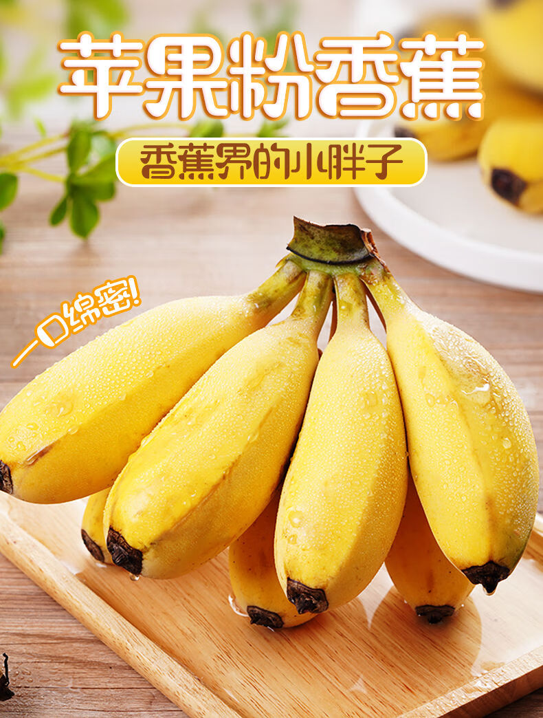 正宗苹果蕉国产香蕉福建土楼超甜粉蕉红美人香蕉小米皇帝黄香焦新鲜