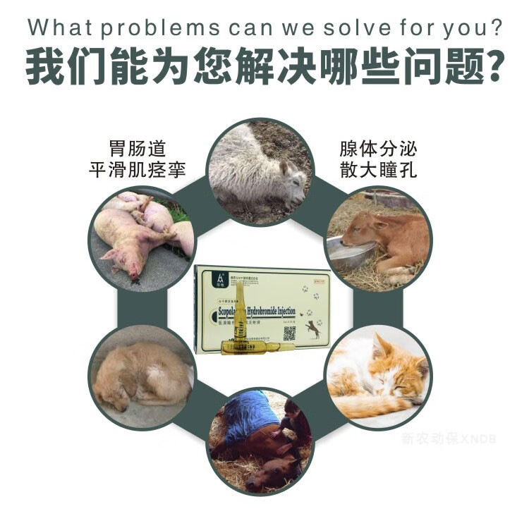 华牧兽用兽药6542针剂猪牛羊犬胃肠绞痛呕吐解毒氢溴酸东莨菪碱注射液