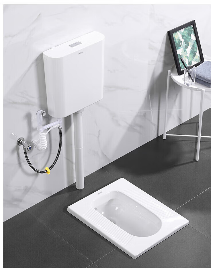 日本卫浴toto家用陶瓷蹲便器水箱套装蹲坑蹲厕式便池整套防臭大便器