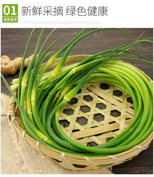 橙伯乐新鲜长蒜薹农家种现摘现发蒜苔自产自销蒜毫青蒜苔蔬菜3斤精装