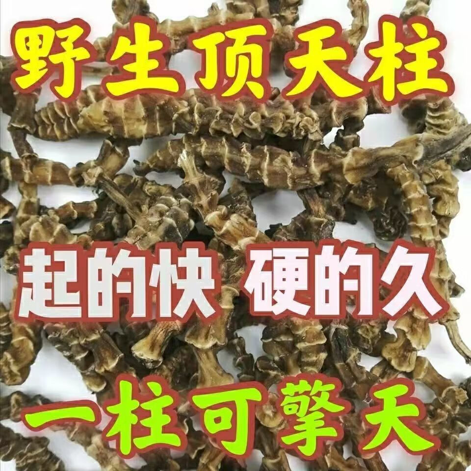 顶天柱阳鞭劲云南苗家腾冲特产野生中草药泡酒料中药材药酒料野生