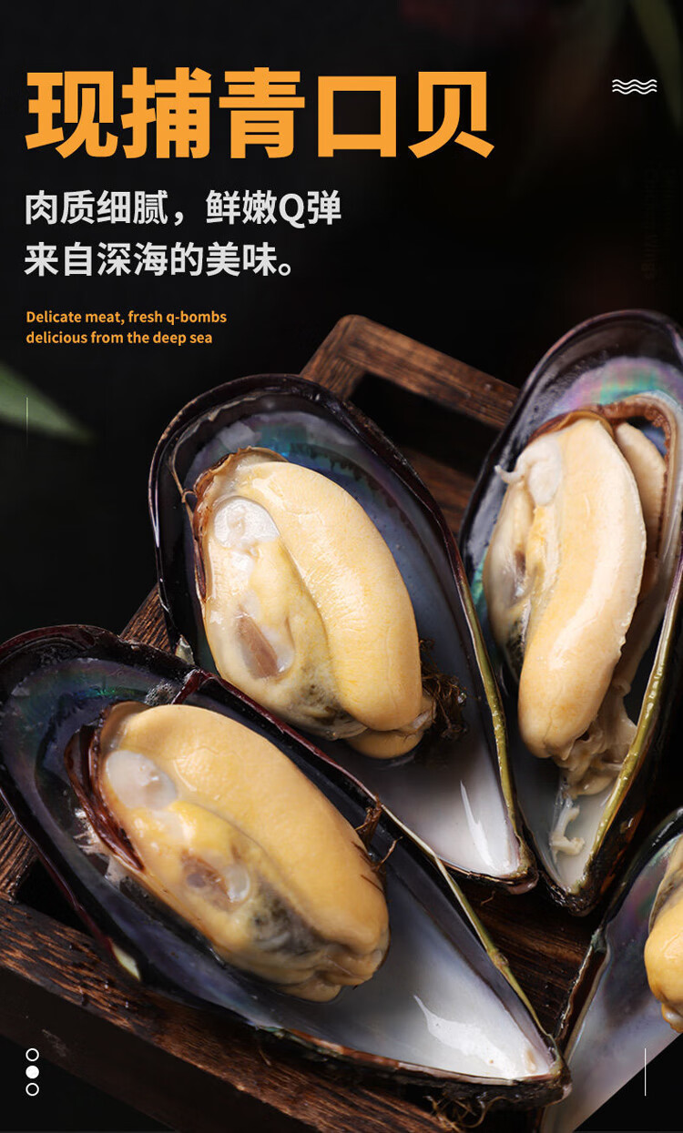 鲜活特大青口贝新鲜大海虹淡菜贻贝贝类水产5斤鲜活发货净重5斤