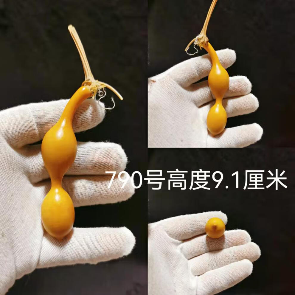 蚂蚁肚小葫芦 天然蚂蚁肚小葫芦异形手捻文玩手把件一物一图八宝包浆