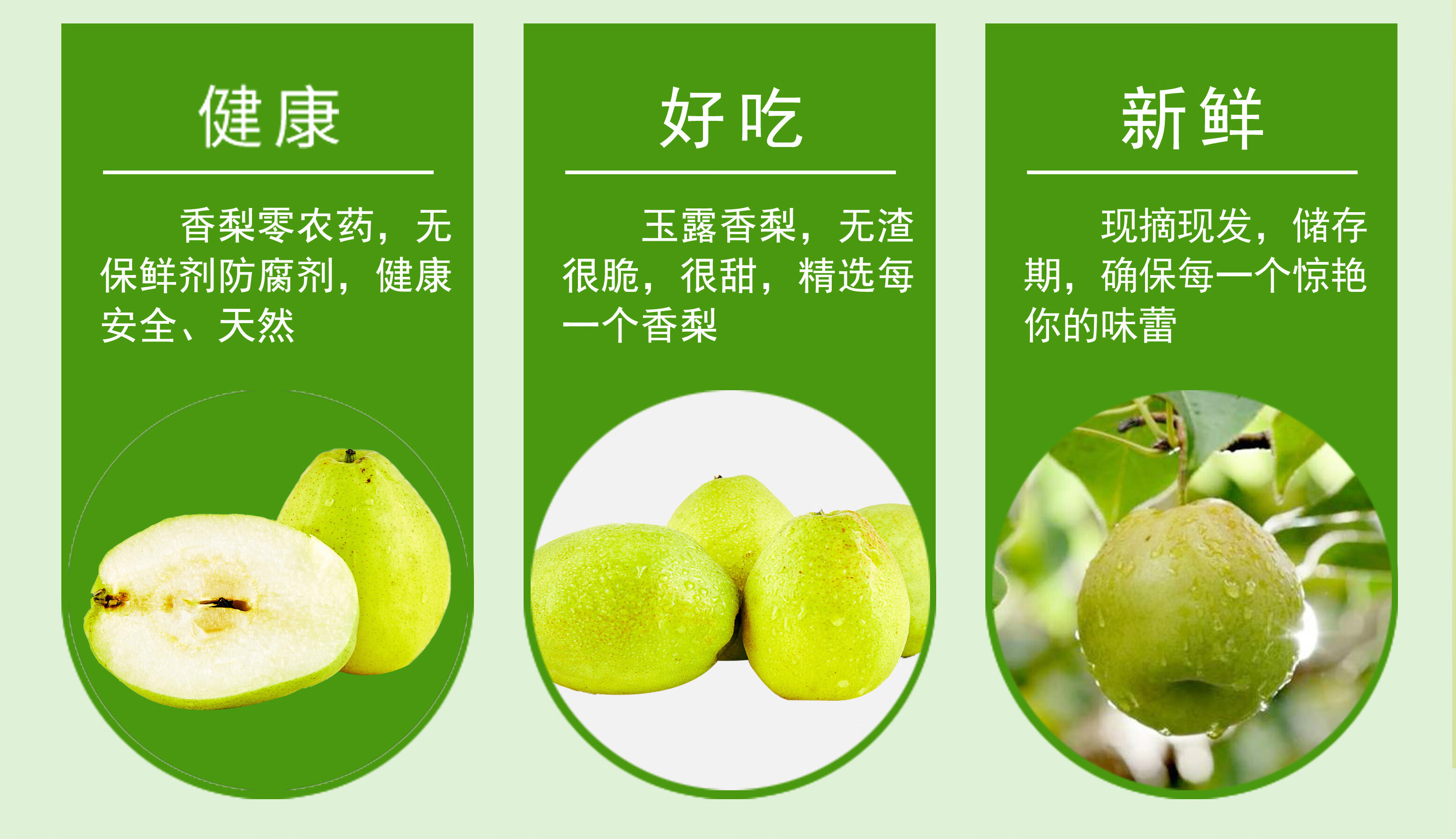 顺丰直达正宗山西隰县玉露香梨子精品大果礼盒装孕妇特产5斤9斤大果