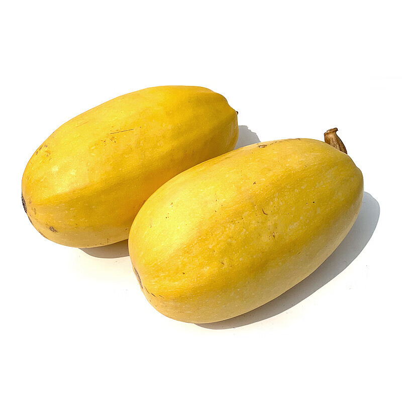 预售新鲜崇明金丝瓜34斤黄金瓜搅瓜角瓜金丝绞瓜新鲜蔬菜