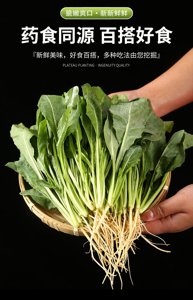 qefh【新鲜蔬菜板蓝根1斤装】新鲜蔬菜带根板蓝根叶云南当季时令蔬菜