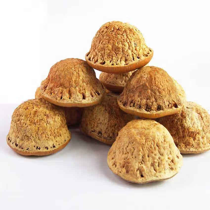 筱木屋 风流果野生广西新鲜子500克男肾天竺粒阴阳子泡酒中药材 红色