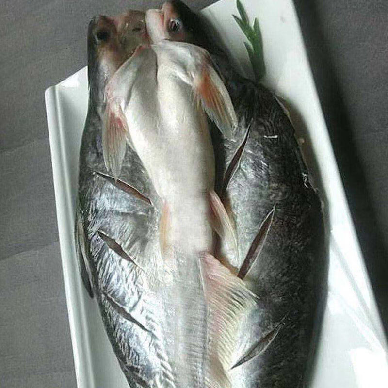 鲜活冷冻开背巴沙鱼 湄公鱼新鲜水产纸包炭烤鱼 自助餐烧烤整箱20 开