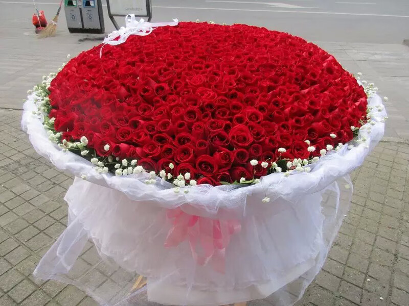 999朵520朵365朵红玫瑰花鲜花香槟玫瑰同城速递生日表白求婚北京上海
