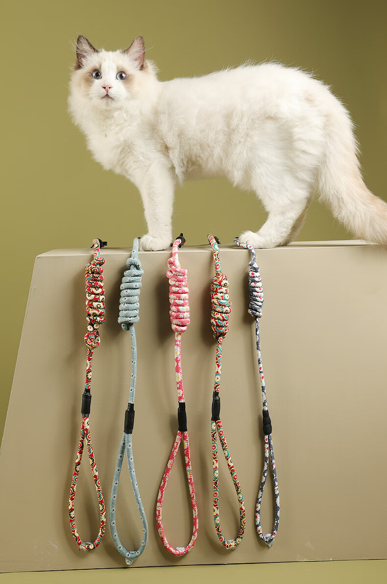 kimpets猫咪牵引绳猫绳子猫胸背带双肩日式遛猫绳可调节背带防挣脱栓