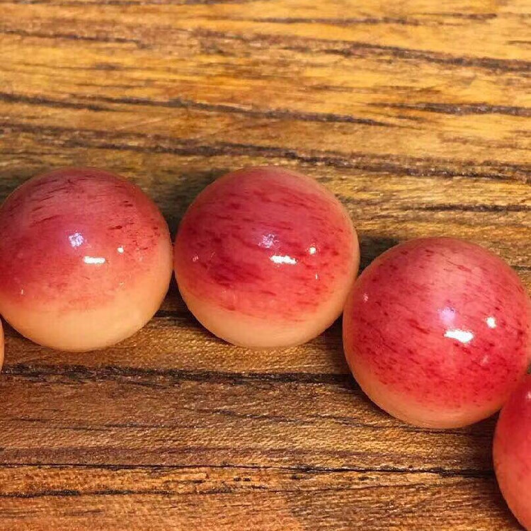 古珍 驼骨手串手链骆驼骨佛珠蝌蚪纹男女款念珠民族风把送长辈妈妈