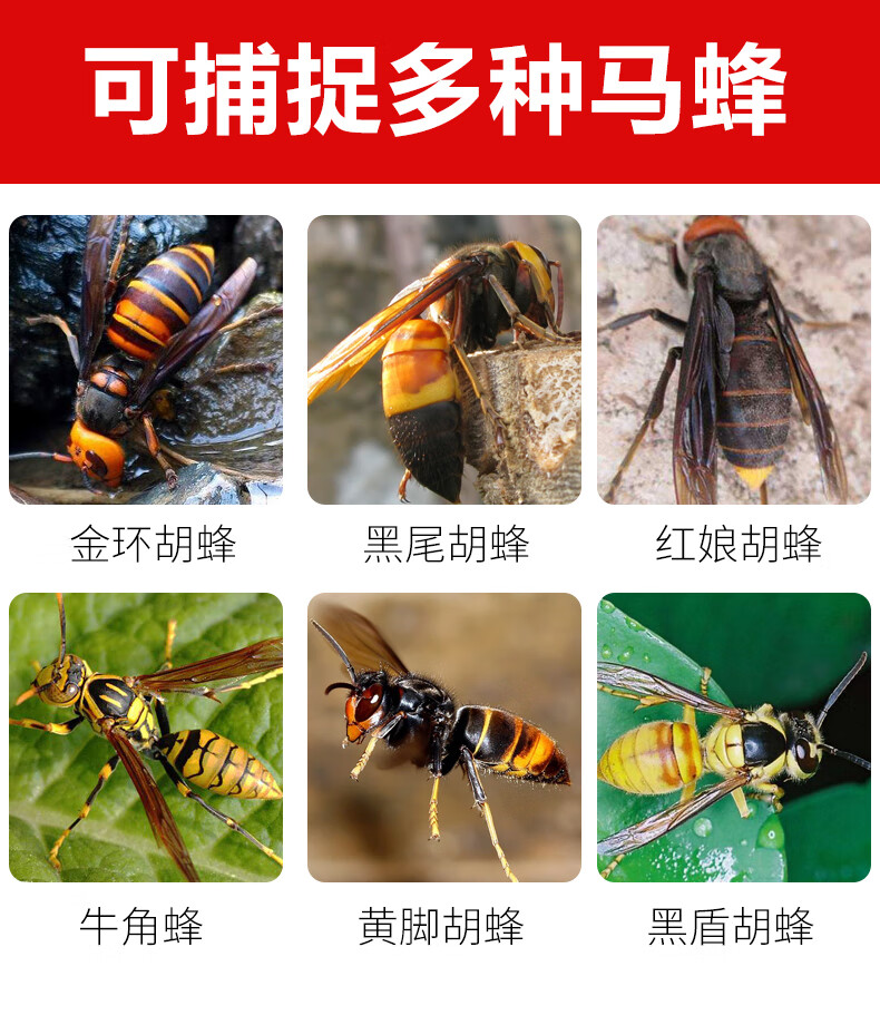 连体养蜂服加厚防蛰散热抓马蜂衣马服玻璃面罩防喷毒 红娘加厚防护服