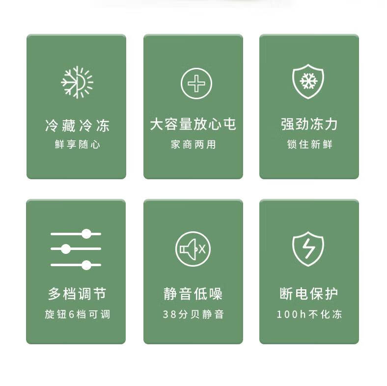 志高chigo迷你无霜小冰柜家用小型商用全冷冻保鲜两用冷