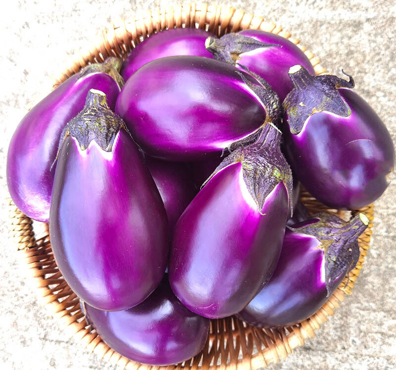 农家自种保温箱冰袋发134斤湖南浏阳本地圆茄子紫红色圆茄子土短茄子