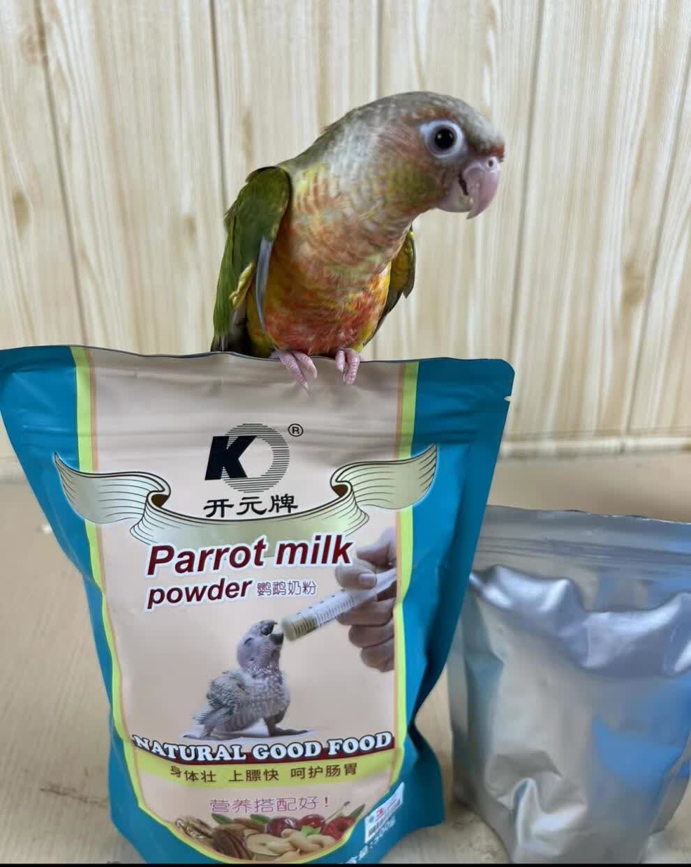 小太阳和尚凤梨黄边蓝化鸟类鸟食雏鸟活体朴彩(pucai) 绿颊【图片