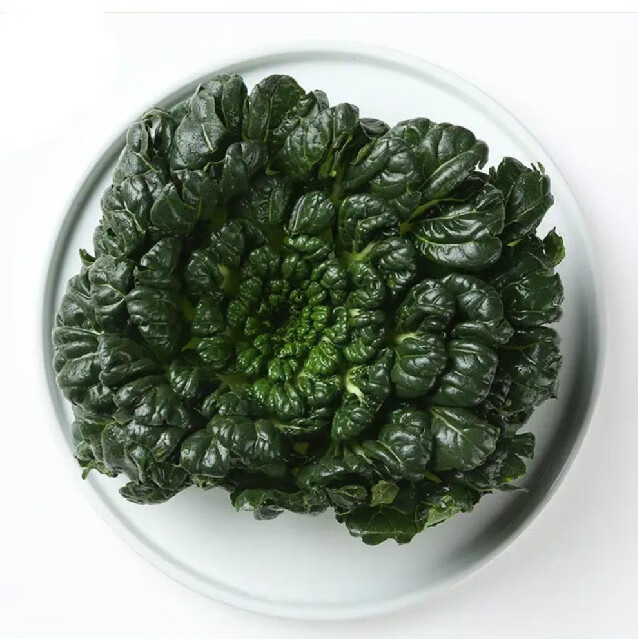 乌塌菜塌菜塔菜塌棵菜塌地松黑菜新鲜蔬菜江苏常熟茎叶清香可口5斤