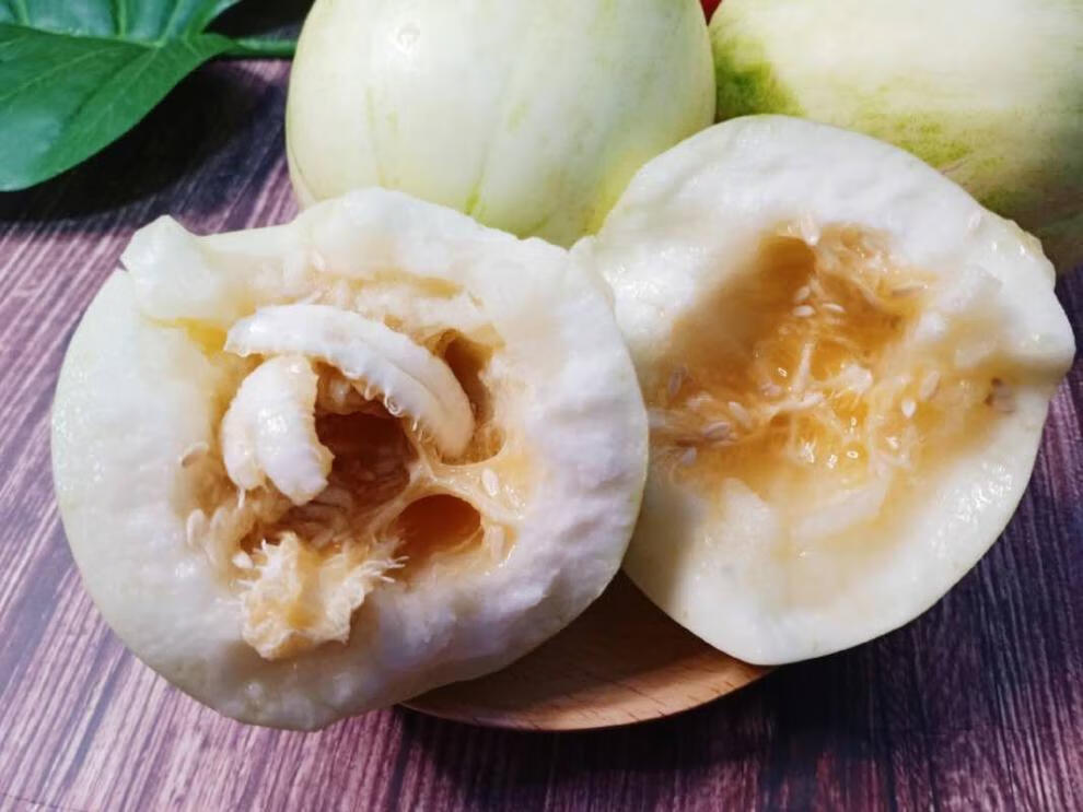 东北特产甜香瓜大地自种白糖罐应季新鲜水果 脆甜精密香瓜甜瓜 2斤