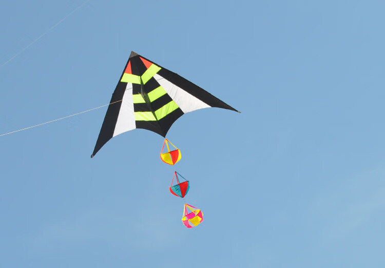 2022新款飞悦风筝国潮飞悦大黄蜂风筝大型二2平三3平成人大人微风易飞