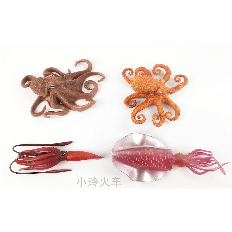 大王乌贼模型大王乌贼玩具抹香鲸模型章鱼鱿鱼八爪鱼模型巨型枪酸浆