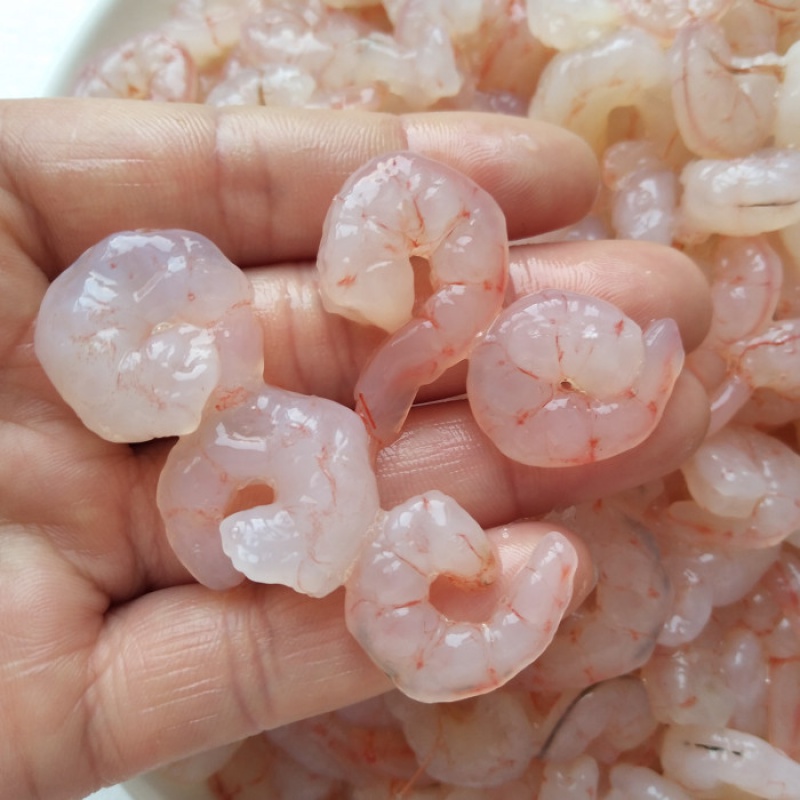 青岛海捕新鲜虾仁冷冻虾仁蛎虾仁现剥虾肉500g水饺馄饨用2斤 无冰衣