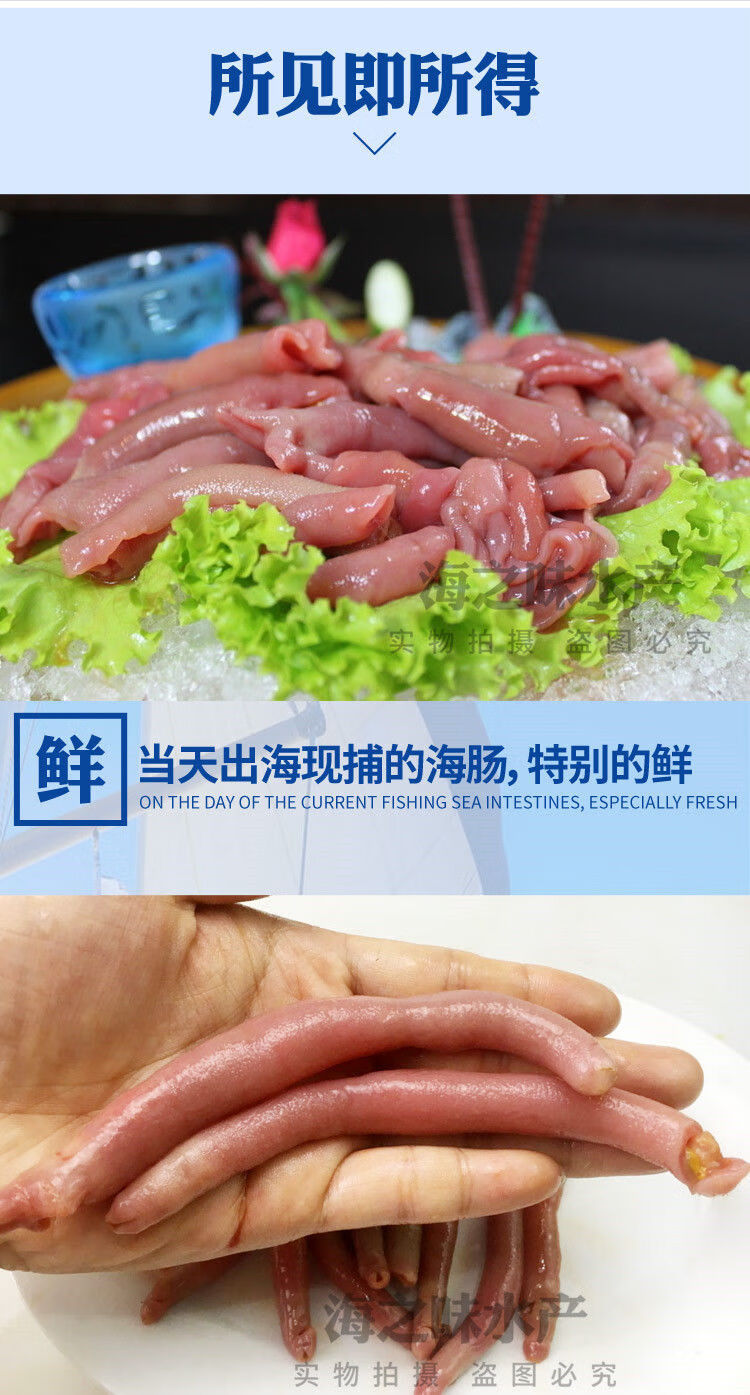 顺丰新鲜海肠皮沙虫即食冷冻海肠子已去内脏鲜活海鲜水产三包装每包