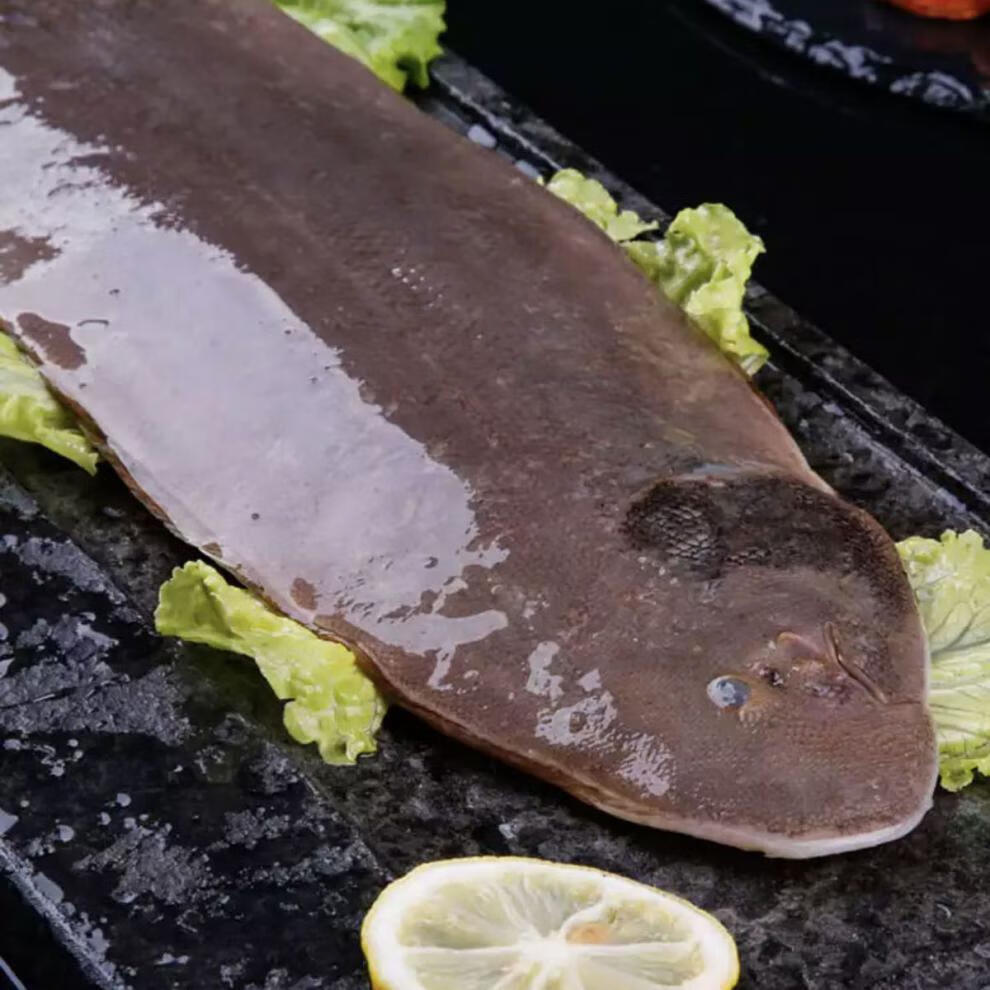 新鲜海捕龙利鱼舌头鱼踏板鱼鳎目鱼海鱼连云港特产海鲜水产特大号200g