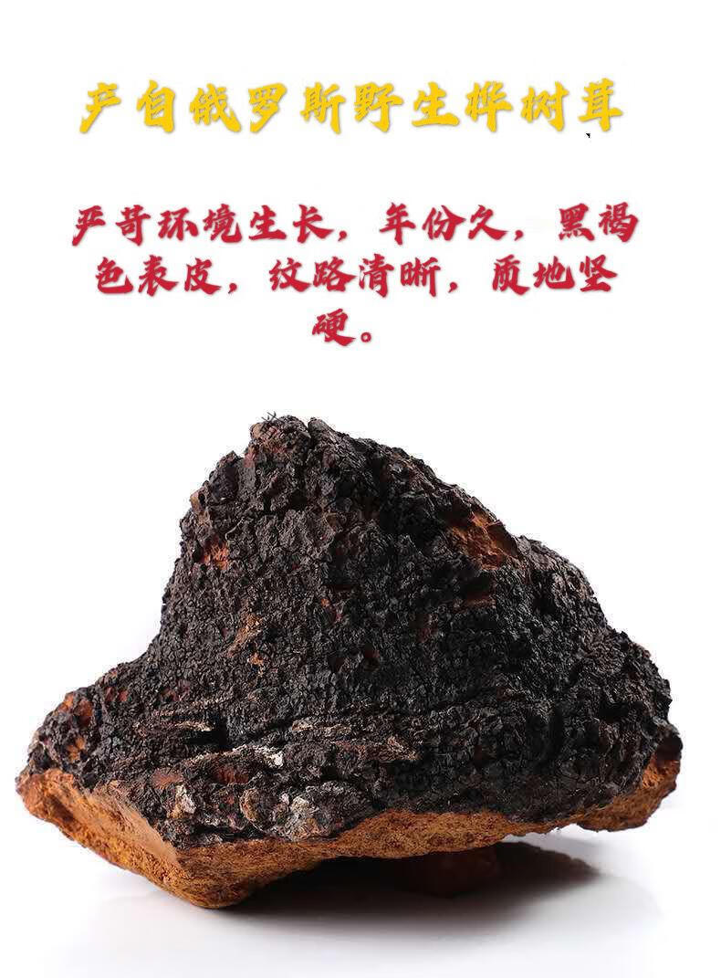 桦树茸的功效与作用的功能与主治与用量
