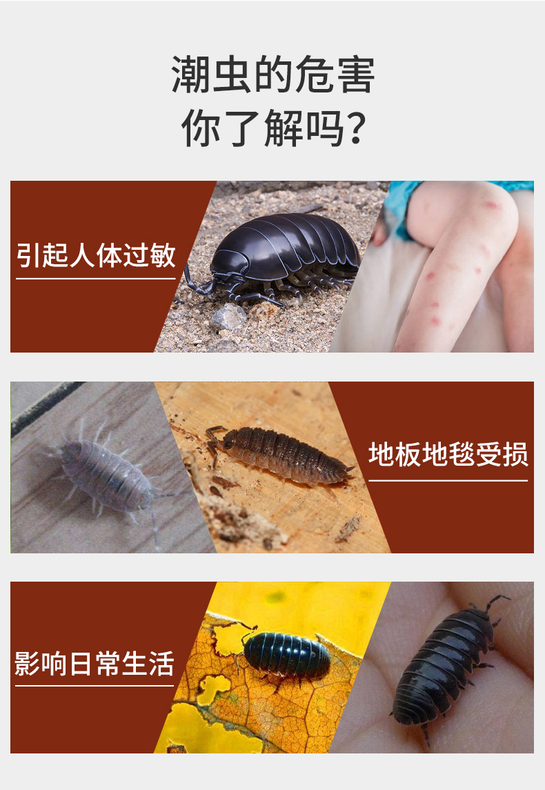 鼠妇潮虫杀虫剂去潮虫药家用全窝端除鼠妇杀虫剂灭西瓜虫除虫剂潮湿虫