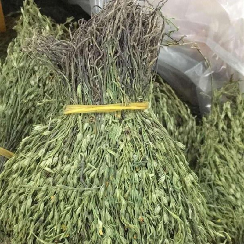 野外生正宗独脚金疳积草小儿开胃汤广脚柑消食新鲜煲汤料配汤包 50克