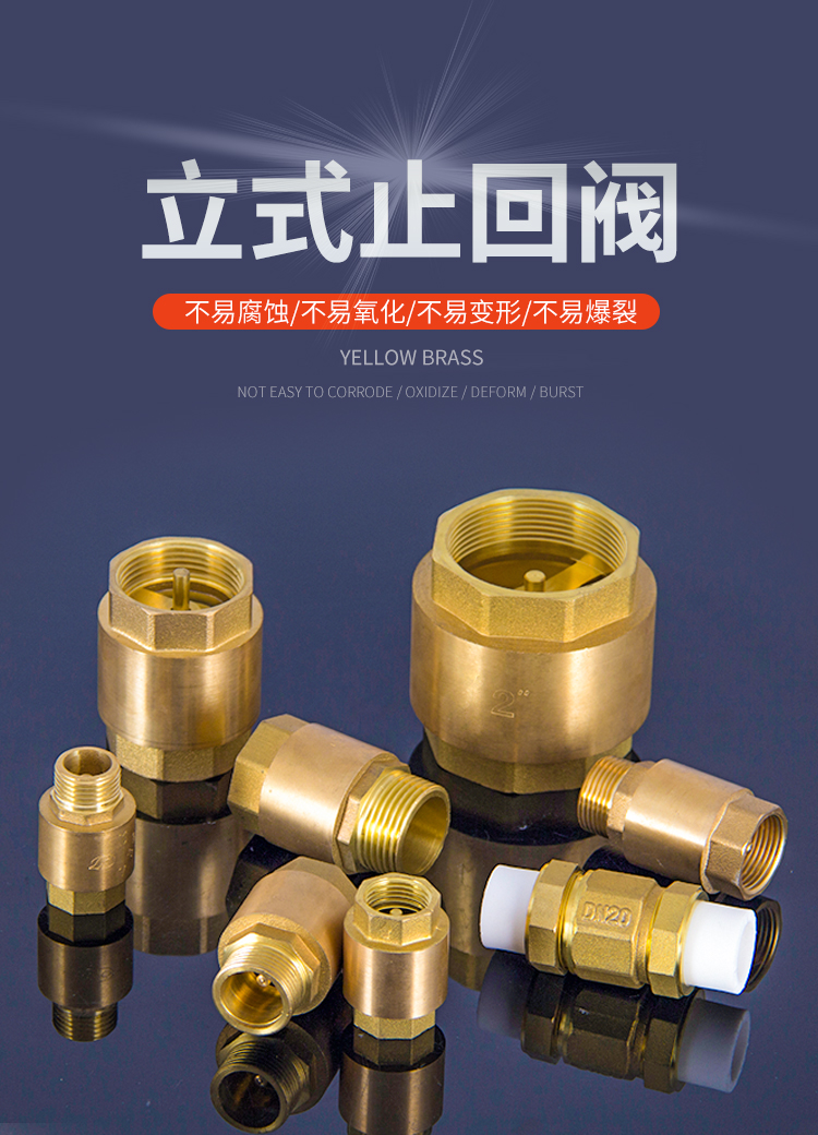 4分立式止回阀6分ppr水管单向阀1寸止流阀dn152025水表逆止阀4分双